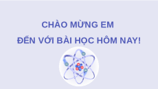 Giáo án Powerpoint Bài 30: Tinh bột và cellulose KHTN 9 Kết nối tri thức