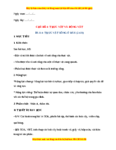 Giáo án Thực vật sống ở đâu TNXH lớp 2 Chân trời sáng tạo