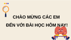 Giáo án Powerpoint Sự chuyển hóa năng lượng và enzyme Sinh học 10 Cánh diều