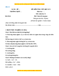 Đề thi cuối kì 1 Hóa Học 11 Chân trời sáng tạo - Đề 3