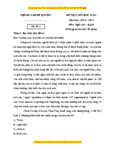 Đề thi cuối kì 2 Ngữ văn 8 Kết nối tri thức (Đề 5)