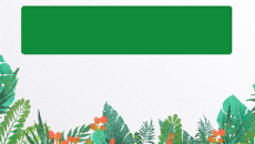 Giáo án Powerpoint Bài 8: Văn bản nghị luận Ngữ văn 10 Cánh diều