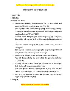 Giáo án Quang hợp ở thực vật Sinh học 11 Cánh diều