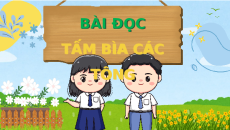 Giáo án Powerpoint Đọc: Tấm bìa các tông Tiếng Việt lớp 5 Cánh diều