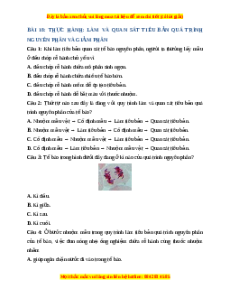 Trắc nghiệm Thực hành làm và quan sát tiêu quá trình nguyên phân và giảm phân Sinh học 10 Kết nối tri thức