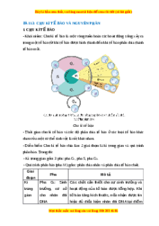Lý thuyết Sinh học 10 Cánh diều Bài 13: Chu kì tế bào và nguyên phân