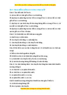 Trắc nghiệm Trao đổi chất qua màng sinh chất Sinh học 10 Cánh diều