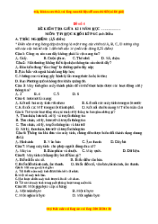 Đề thi giữa kì 1 Tin học 6 Cánh diều - Đề 4