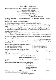 Câu hỏi ôn thi Trạng Nguyên Tiếng Việt lớp 3 Chủ điểm 6: Chính tả