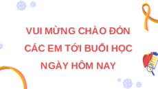 Giáo án Powerpoint Cảm ứng ở động vật Sinh học 11 Cánh diều