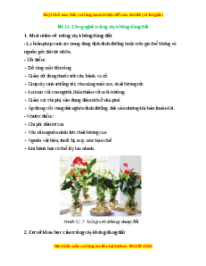 Lý thuyết Công nghệ 10 Trồng trọt Cánh diều Bài 21: Công nghệ trồng cây không dùng đất