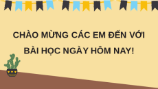 Giáo án Powerpoint Viết: Luyện tập viết đoạn văn nêu tình cảm, cảm xúc Tiếng việt lớp 4 Chân trời sáng tạo (Pb2)