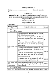 Giáo án Sinh học 11 Chân trời sáng tạo (phiên bản 2)