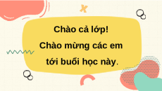 Giáo án Powerpoint Sự đồng quy của ba đường trung trực, ba đường cao trong một tam giác Toán 7 Kết nối tri thức