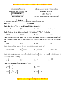 Đề thi thử Toán trường Lương Tài năm 2021