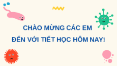 Giáo án Powerpoint Tế bào nhân sơ Sinh học 10 Kết nối tri thức