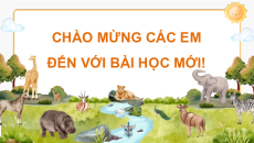 Giáo án Powerpoint Bài 16 Khoa học lớp 4 Chân trời sáng tạo: Nhu cầu sống cửa đông vật