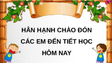 Giáo án Powerpoint Tia số. Số liền trước, số liền sau (trang 10) Toán lớp 2 Kết nối tri thức (phiên bản 2)