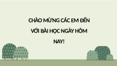 Giáo án Powerpoint Bài 14: Thực hành Nhân giống ăn quả bằng phương pháp ghép 10 Kết nối tri thức