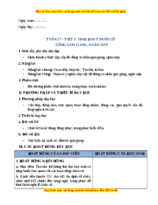 Giáo án Tuần 27 HĐTN lớp 2 Cánh diều