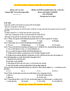 Đề thi thử Sinh Học trường Chuyên Phan Ngọc Hiển lần 1 năm 2021