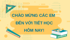 Giáo án powerpoint HĐ 6: Ứng dụng định lí Thalès để ước lượng tỉ lệ Toán 8 Chân trời sáng tạo