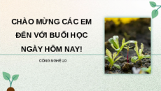Giáo án Powerpoint Bài 1: Bài mở đầu Chuyên đề Công nghệ trồng trọt 10 Kết nối tri thức