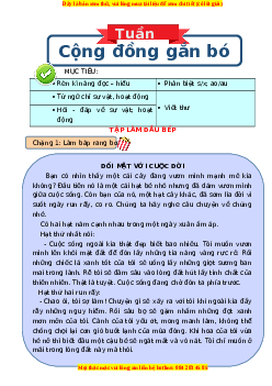 Bài tập cuối tuần Tiếng việt lớp 3 Tuần 16 Kết nối tri thức (có lời giải)