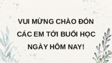 Giáo án Powerpoint chuyên đề Bài 11: Nuôi dưỡng và chăm sóc cá cảnh nước ngọt Công nghệ Lâm nghiệp thủy sản 12 Kết nối tri thức