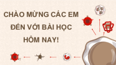 Giáo án Powerpoint Tuần hoàn ở động vật Sinh học 11 Kết nối tri thức