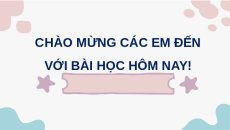 Giáo án powerpoint Các loại va chạm Vật lí 10 Chân trời sáng tạo