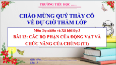 Giáo án Powerpoint Bài 13: Các bộ phận của động vật và chức năng của chúng Tự nhiên xã hội lớp 3 Cánh diều