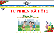 Giáo án Powerpoint Bài 5: Trường học của em Tự nhiên xã hội lớp 1 Cánh diều