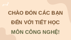 Giáo án Powerpoint Chuyên đề Bài 8: Kĩ thuật nuôi dưỡng và chăm sóc mèo cảnh Công nghệ chăn nuôi 11 Kết nối tri thức