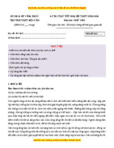 Đề thi thử tốt nghiệp Ngữ Văn trường THPT Đội Cấn - Sở GD&ĐT Vĩnh Phúc năm 2024