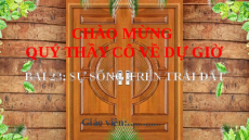 Giáo án Powerpoint Bài 23 Địa lí 6 Kết nối tri thức: Sự sống trên Trái Đất