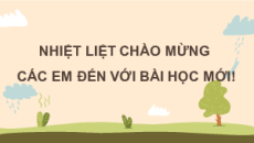 Giáo án Powerpoint Quang hợp ở thực vật Sinh học 11 Cánh diều