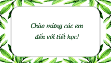 Giáo án Powerpoint Củng cố, mở rộng trang 119 Ngữ văn 11 Kết nối tri thức