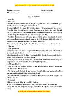 Giáo án Phenol Hóa học 11 Chân trời sáng tạo