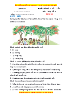 Bài tập cuối tuần Tiếng việt 4 Tuần 23 (có lời giải)