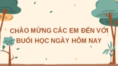 Giáo án Powerpoint Bài 4: Thu hoạch sản phẩm trồng trọt Công nghệ 7 Kết nối tri thức