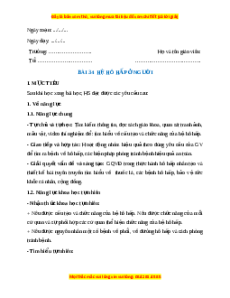 Giáo án Hệ hô hấp ở người Sinh học 8 Kết nối tri thức