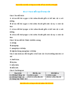 Trắc nghiệm Trao đổi khí ở sinh vật KHTN 7 Chân trời sáng tạo