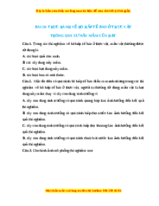 Trắc nghiệm Thực hành về hô hấp tế bào ở thực vật thông qua sự nảy mầm của hạt KHTN 7 Chân trời sáng tạo