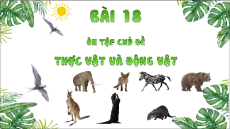 Giáo án Powerpoint Bài 18 Tự nhiên xã hội lớp 2 Chân trời sáng tạo: Ôn tập chủ đề Thực vật và động vật