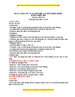 Giáo án Bài 20 Địa lí 6 Chân trời sáng tạo (2024): Sinh vật và sự phân bố các đới thiên nhiên. Rừng nhiệt đới