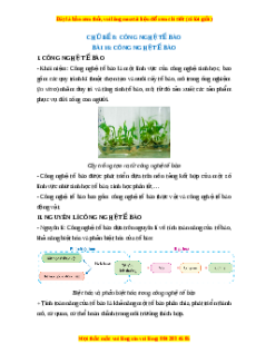 Lý thuyết Sinh học 10 Cánh diều Bài 16: Công nghệ tế bào