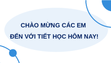 Giáo án Powerpoint Thực hành: Trao đổi nước và khoáng ở thực vật Sinh học 11 Kết nối tri thức