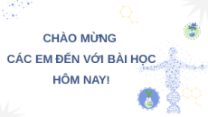 Giáo án Powerpoint Bài 1: Gene và cơ chế truyền thông tin di truyền Sinh học 12 Chân trời sáng tạo