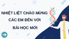 Giáo án Powerpoint Bài 2: Gene, quá trình truyền đạt thông tin di truyền và hệ gene Sinh học 12 Kết nối tri thức